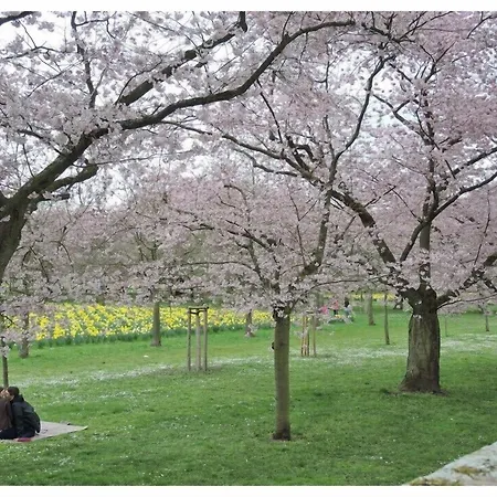 Otel Gaestehaus Am Schloss