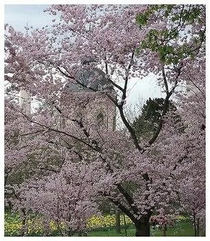 Gaestehaus Am Schloss