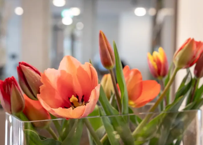 Ξενοδοχείο Gaestehaus Am Schloss 3*