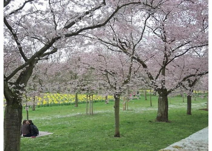 Ξενοδοχείο Gaestehaus Am Schloss
